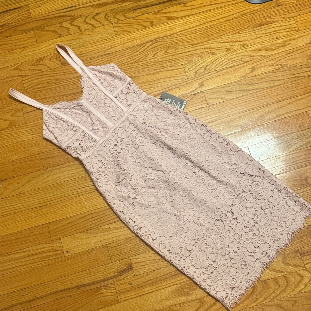 Express Blush Lace Dress